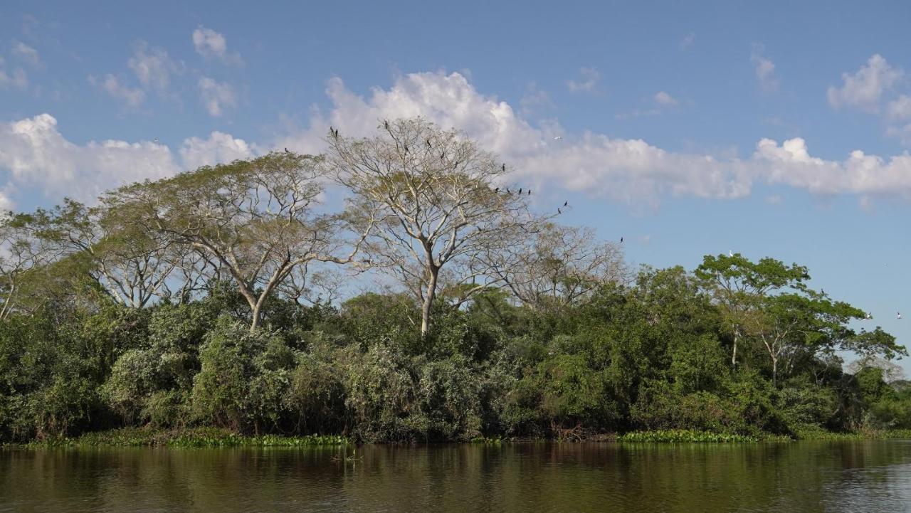 Pousada Reserva Do Pantanal Barao de Melgaco Exterior foto